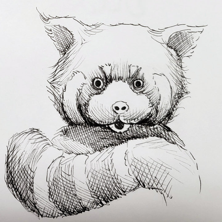 "Curious Cub" | Hand-Illustrated Edition | Penny Pangolin Wants a Pet